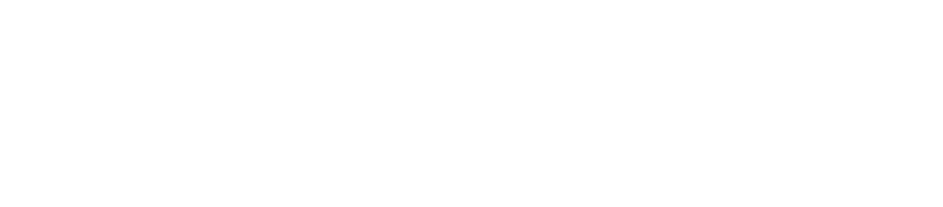 D. E. Shaw India