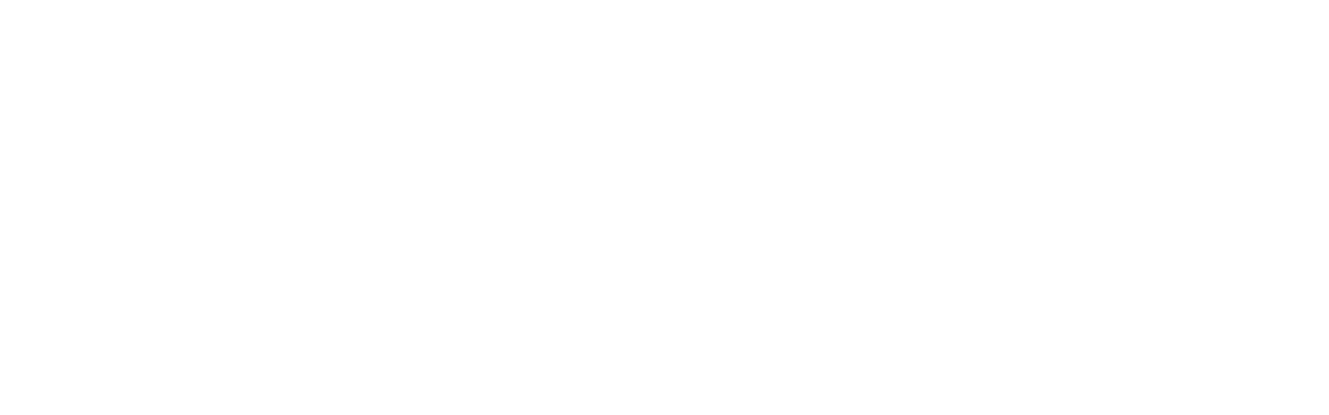 Citadel